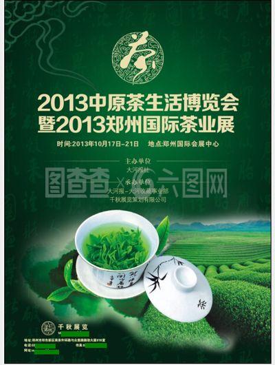 探尋茶葉世界的魅力 從茶園到茶杯的旅程